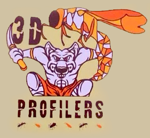 3D PROFILERS